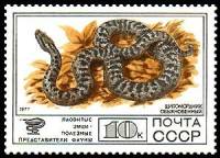 1977-102 Марка СССР Щитомордник обыкновенный  Фауна III O