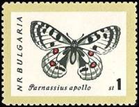 (1962-060) Марка Болгария "Аполлон" Перф лин 11   Бабочки II Θ