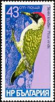 (1978-063) Марка Болгария "Зелёный дятел"   Дятлы II O