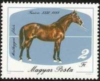 (1985-036) Марка Венгрия "Фуриозо-23, 1889"    Лошади I Θ