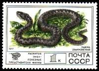 1977-099 Марка СССР Гадюка обыкновенная  Фауна III O