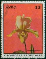 (1972-014) Марка Куба "Буколический башмачок"    Орхидеи III Θ