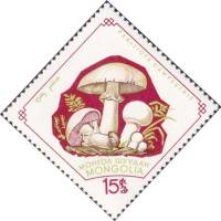 (1964-003) Марка Монголия "Шампиньон"    Грибы III Θ