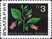 (1969-004) Марка Болгария "Беладонна (Красавка)"   Лекарственные растения III Θ