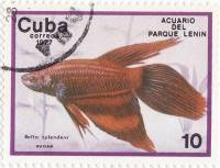 (1977-017) Марка Куба "Бойцовая рыбка"    Аквариум парка Ленина III Θ