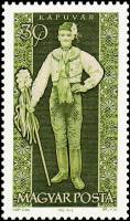 (1963-059) Марка Венгрия "Мужчина из Капувара"    Национальные костюмы Венгрии II Θ
