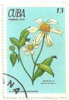 (1970-008) Марка Куба "Череда волосистая"    Лекарственные растения III Θ