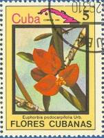 (1983-066) Марка Куба "Молочай"    Цветы III Θ