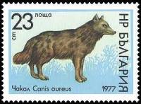 (1977-041) Марка Болгария "Шакал"   Дикая природа III Θ