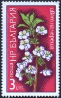 (1975-003) Марка Болгария "Черешня"    Цветы фруктовых деревьев II Θ