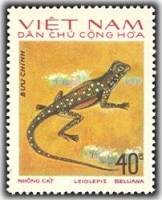 (1975-042) Марка Вьетнам "Агама-бабочка"   Рептилии III Θ