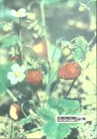 Журнал Юный натуралист 1972 № 8 Москва Мягкая обл. 48 с. С цв илл