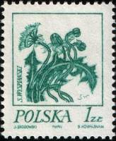 (1974-002) Марка Польша "Одуванчик"    Стандартный выпуск. Картины цветов Станислава Выспяньского  I