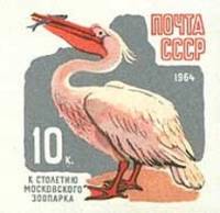 1964-070 Марка СССР Пеликан Без перф   100 лет Московскому зоопарку II O
