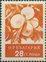 (1956-014) Марка Болгария "Абрикосы"   Фрукты (2) III Θ