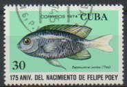 (1974-045) Марка Куба "Двухполосый апогон"    175 лет со дня рождения Фелипе Пои III Θ