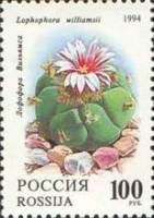 1994-007 Марка Россия Лофофора Вильямса  Комнатные растения. Кактусы III O