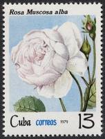 (1979-062) Марка Куба "Роза мускусная"    Розы III Θ