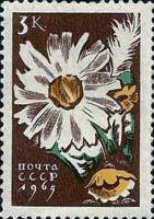 1965-039 Марка СССР Ромашки   Цветы III O