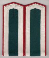 Погоны  "Курсанта Военно-медицинского училища СССР" 14 см 