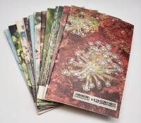 Набор журналов Юный натуралист 12 номеров 1977 Годовая подборка Москва Мягкая обл.  с. С цв илл