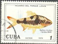 (1978-035) Марка Куба "Барбус арулиус"    Аквариум парка Ленина III O