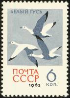 1962-141 Марка СССР Белые гуси   Птицы III Θ