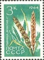 1964-089 Марка СССР Пшеница Безостая-1 Перф. рам. 11½   Сельскохозяйственные культуры II Θ