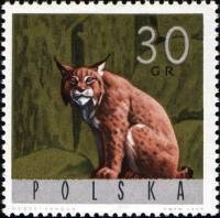 (1965-075) Марка Польша "Ф.К. Корженевский"   Животные III Θ