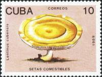 (1989-009) Марка Куба "Псилоцибе кубинский"    Съедобные грибы III Θ