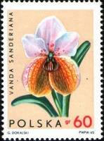 (1965-055) Марка Польша "Ванда Сандера"   Орхидеи I Θ