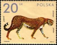 (1972-022) Марка Польша "Гепард"    Животные из зоопарка II Θ