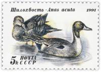 1991-055 Марка СССР 5 коп Шилохвость  250 шт ОПТ Утки III O