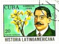 (1989-080) Марка Куба "Хосе Э. Рочо"    История Латинской Америки III Θ