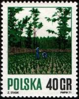 (1971-018) Марка Польша "Саженцы"    Лесное хозяйство III Θ
