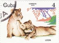 (1979-081) Марка Куба "Лев"    Животные зоопарка III Θ