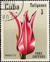 (1982-027) Марка Куба "Мариетта"    Тюльпаны III Θ