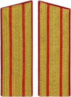 Погоны СССР "Офицерские, общевойсковые, 2 полосы" 16,5 см 