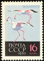 1962-143 Марка СССР Фламинго   Птицы III O
