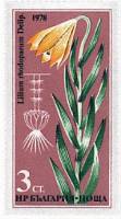 (1978-042) Марка Болгария "Лилия "   Редкие цветы III Θ