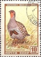 1957-029 Марка СССР Куропатка серая   Фауна I Θ