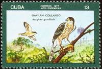 (1976-048) Марка Куба "Кубинский ястреб"    Птицы III Θ