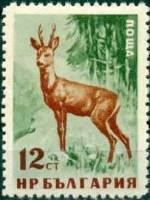 (1958-012) Марка Болгария "Косуля" Перф лин 11   Дикие животные Болгарии II Θ