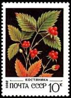 1982-019 Марка СССР Костяника  Дикорастущие ягоды III O